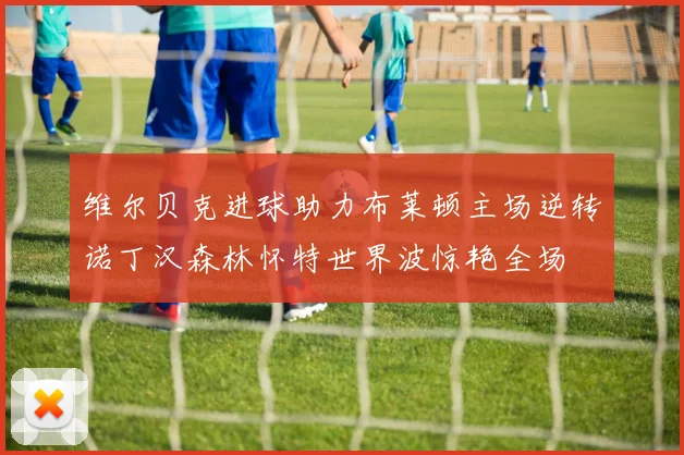 维尔贝克进球助力布莱顿主场逆转诺丁汉森林怀特世界波惊艳全场