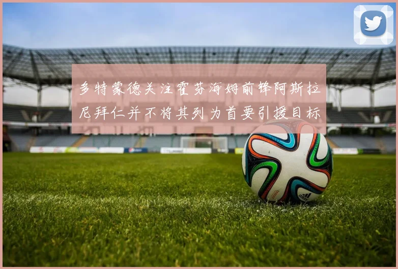 多特蒙德关注霍芬海姆前锋阿斯拉尼拜仁并不将其列为首要引援目标