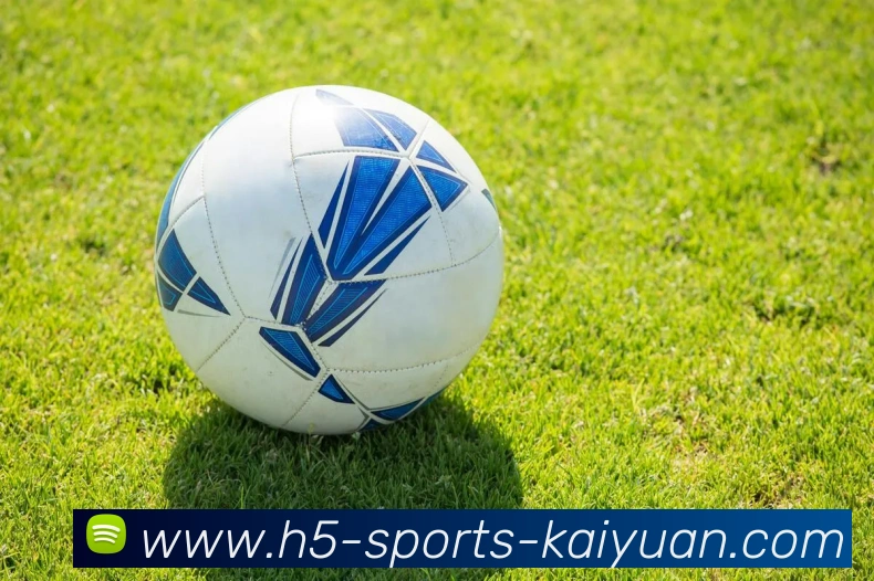 开元体育服务体系